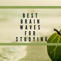 Thumbnail for the Brainwaves Mike - Best Brain Waves for Studying – Music to Increase Memory Power link, provided by host site