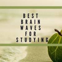 Thumbnail for the Brainwaves Mike - Best Brain Waves for Studying – Music to Increase Memory Power link, provided by host site