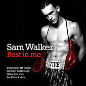 Image of Sam Walker linking to their artist page due to link from them being at the top of the main table on this page