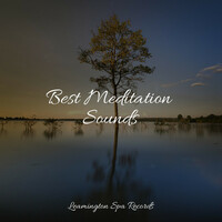 Thumbnail for the Study Zone - Best Meditation Sounds link, provided by host site