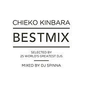 Thumbnail for the Chieko Kinbara - Best Mix link, provided by host site