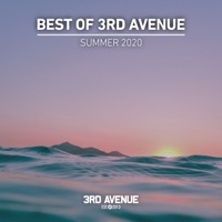 Thumbnail for the Eric Lune - Best of 3rd Avenue Summer 2020 link, provided by host site