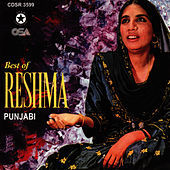 Thumbnail for the Reshma - Best of Reshma link, provided by host site