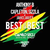 Thumbnail for the Anthony B - Best of the Best (Danilo Seclì Remix) link, provided by host site