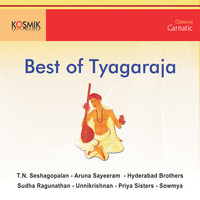 Thumbnail for the Traditional - Best Of Thyagaraja link, provided by host site
