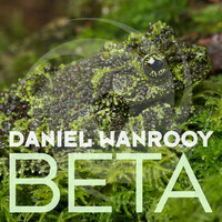 Thumbnail for the Daniel Wanrooy - Beta link, provided by host site
