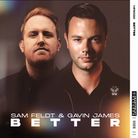 Thumbnail for the Sam Feldt - Better link, provided by host site