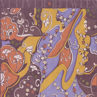 Image of Vetiver linking to their artist page due to link from them being at the top of the main table on this page