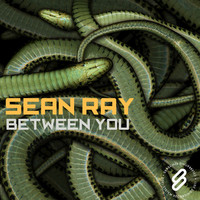 Thumbnail for the Sean Ray - Between You link, provided by host site