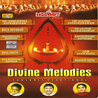 Thumbnail for the Sunanda - BHAGAWAT GEETHA link, provided by host site