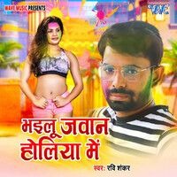 Thumbnail for the Ravi Shankar - Bhailu Jawan Holiya Me link, provided by host site