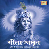Thumbnail for the Vijay Prakash - Bhakti Yog - The Path of Love link, provided by host site