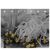 Thumbnail for the Mohanlal - Bhangra Boliyan link, provided by host site