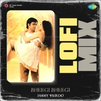 Thumbnail for the James - Bheegi Bheegi (Lofi Mix) link, provided by host site
