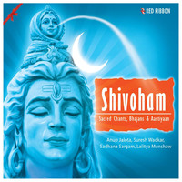 Thumbnail for the Sadhana Sargam - Bhole Shankar Se - Original link, provided by host site