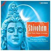 Thumbnail for the Sadhana Sargam - Bhole Shankar Se (Original) link, provided by host site