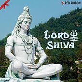 Thumbnail for the Sadhana Sargam - Bhole Shankar Se link, provided by host site