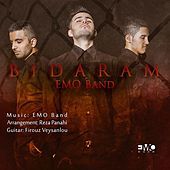Thumbnail for the EMO - Bidaram link, provided by host site