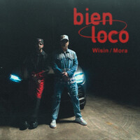Thumbnail for the Wisin - Bien Loco link, provided by host site