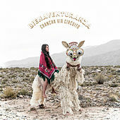 Thumbnail for the Chancha Via Circuito - Bienaventuranza link, provided by host site