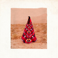 Thumbnail for the Chancha Via Circuito - Bienaventuranza Remixes link, provided by host site