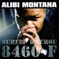 Thumbnail for the Alibi Montana - Bienvenue A La Courneuve [Remix] link, provided by host site