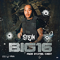 Thumbnail for the Stein - Big 16 link, provided by host site