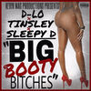 Thumbnail for the D Lo - Big Booty Bitches link, provided by host site