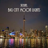 Thumbnail for the Skyline - Big City Moon Lights link, provided by host site