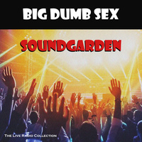 Thumbnail for the Soundgarden - Big Dumb Sex link, provided by host site