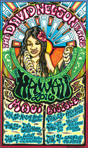 Thumbnail for the David Nelson Band - Big Game Fish Club link, provided by host site