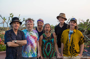 Thumbnail for the David Nelson Band - Big Game Fishing Club link, provided by host site