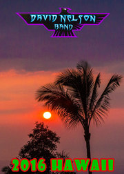 Thumbnail for the David Nelson Band - Big Game Fishing Club link, provided by host site