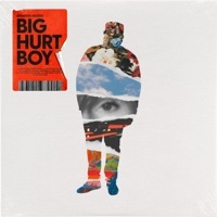 Thumbnail for the Donovan Woods - Big Hurt Boy link, provided by host site