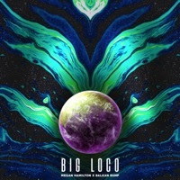 Thumbnail for the Balkan Bump - Big Loco link, provided by host site