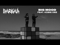 Thumbnail for the BARKAA - Big Mood (Official Visualiser) link, provided by host site