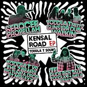 Thumbnail for the Toddla T - Big Tune A Drop link, provided by host site