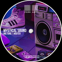 Thumbnail for the Mystical Sound - Big tune / Hooter link, provided by host site