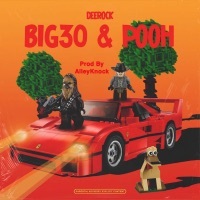 Thumbnail for the Deerock - Big30 & Pooh link, provided by host site