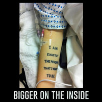 Thumbnail for the Amanda Palmer - Bigger on the Inside link, provided by host site