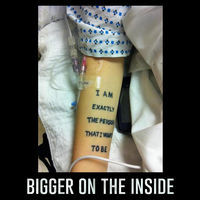 Thumbnail for the Amanda Palmer - Bigger on the Inside link, provided by host site