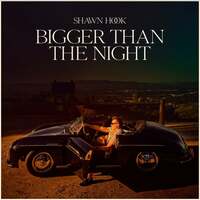 Thumbnail for the Shawn Hook - Bigger Than The Night link, provided by host site