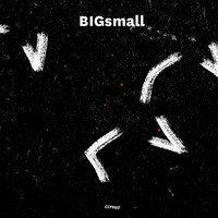 Thumbnail for the CLYPSO - Bigsmall link, provided by host site