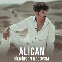 Thumbnail for the Alican - Bilmirsən Necəyəm link, provided by host site