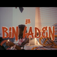 Thumbnail for the Y's - Bin Laden link, provided by host site