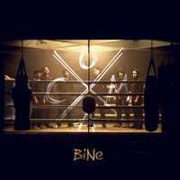 Thumbnail for the Coma - Bine link, provided by host site