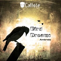 Thumbnail for the Ambrela - Bird Dreams link, provided by host site