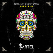 Thumbnail for the Tom Staar - Bird Flu link, provided by host site