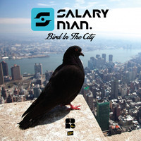 Thumbnail for the Salaryman - Bird In The City link, provided by host site