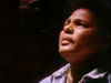 Thumbnail for the The Neville Brothers - Bird On a Wire link, provided by host site